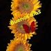 Clemencia Rojas - Facebook