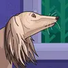 clement bertrand - @clement.bertrand3 - TikTok