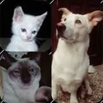 Brooks Clement - @brooks.clement147 - Instagram