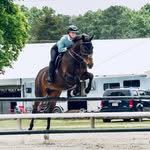 Brooks Lyon Clement - @clement.equine.brooks - Instagram