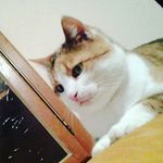 clement joly - @clement_58_j - Instagram