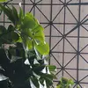 clemenciademente - @clemente_little_slut - TikTok
