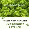 littleclementgarden - @littleclementgarden - TikTok