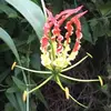 Clement Ong - @clement.ong4 - TikTok