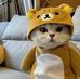 Clement Ting - Facebook