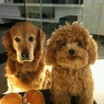 Clement Tung - @clement.tung - Instagram