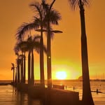 Clement Vincent - @clement.vincent.50 - Instagram
