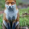 clement.werner2707 - @clement.werner - TikTok