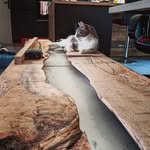 Clément - @clement_wood_furniture - Instagram