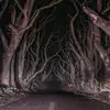 clement_wu - @clement_25 - TikTok