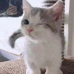 Clement Yap - @clementyap92 - Instagram