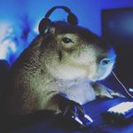 clement yap - @th3_carbonara - Instagram