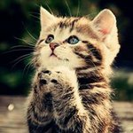 Clement Yap - @yap_c - Instagram