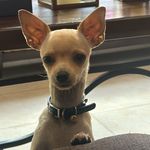 Clemente Avilés - @cle_2704 - Instagram