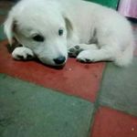 nahomy Madai Clemente Aviles - @nahomymadaiclementea - Instagram