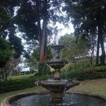 Clemente Carrera - @carrera_clemente - Instagram
