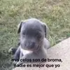 Clemente Castillo - @clemente.castillo13 - TikTok