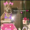 Mia Anahi Clemente Cepeda - @mia.anahi.clement - TikTok