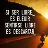 Clemente Cerda - @clementecerda2 - TikTok