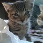 Clemente Céspedes - @clementecespedesr - Instagram