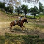 Clemente Salazar Chavez - @clementesalazarchavez - Instagram