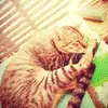 Clemente.Coronado - @clementecoronadofuewypvp - TikTok