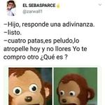 clemente guzman - @clementeguzman1 - Instagram