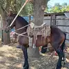 Clementehernandez91 - @user9230763884507 - TikTok