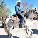 Clemente Cota Miranda - @cotamirandaclemente - Instagram