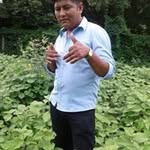 Clemente Miranda - @cleminty123 - Instagram