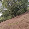 Clemente Miranda - @clemente.miranda00 - TikTok