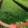 Clemente Miranda - @clemente.miranda73 - TikTok