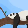 Clemente Ocampo - @clemente.ocampo8 - TikTok