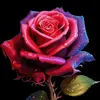 Clemente Ramos - @clemente.ramos88 - TikTok
