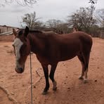 Clemente Acebo Ruiz - Facebook