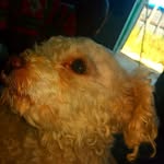cleo♡acevedo - @cleoacevedo2022 - Instagram