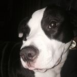 CLEO MARTINEZ - @cleospage - Instagram