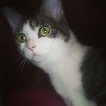cleo - @cleophillips1 - Instagram