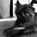 Cleo - @cleopratt__axf - Instagram