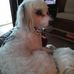 Cleo Simmons - Facebook