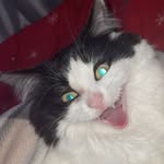 Cleo Simpson - @its_cleo_147 - Instagram