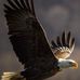 Cleo Singleton - Facebook