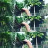 cleo smart - @cleosmartypants - TikTok