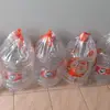cleosmart - @cleosmart6 - TikTok