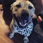 Cleo - @smiley_cleo - Instagram