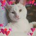 Cleo Snow - Facebook