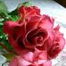 Cleo Solis - Facebook