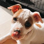 cleo spence - @cleothegood - Instagram