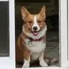 Cleo & Stark - @tortizefe - TikTok