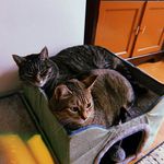 Cleo & Myla Silveria-Stokes - @cleo.myla - Instagram